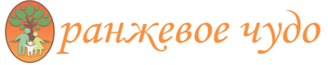 Логотип компании Оранжевое чудо